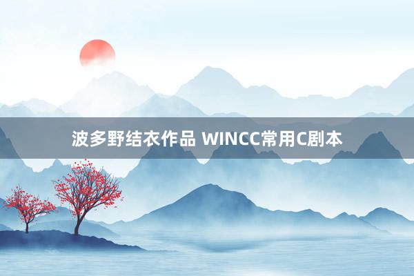 波多野结衣作品 WINCC常用C剧本