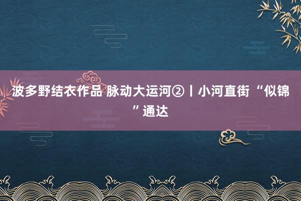 波多野结衣作品 脉动大运河②丨小河直街 “似锦”通达