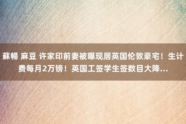 蘇暢 麻豆 许家印前妻被曝现居英国伦敦豪宅！生计费每月2万镑！英国工签学生签数目大降...