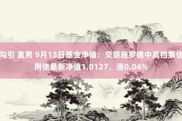 勾引 直男 9月13日基金净值：交银施罗德中高档第信用债最新净值1.0127，涨0.04%