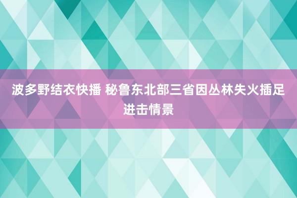 波多野结衣快播 秘鲁东北部三省因丛林失火插足进击情景