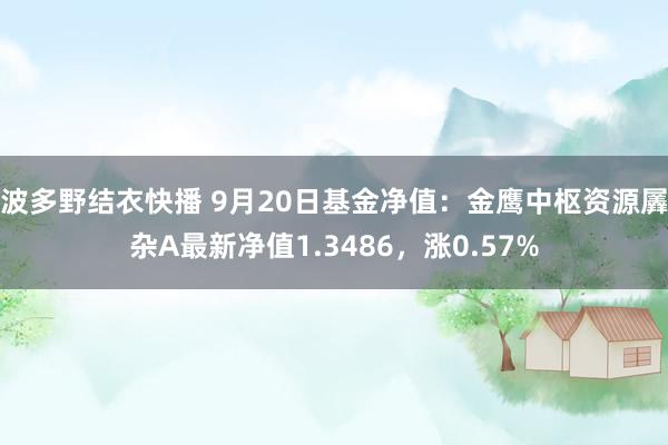 波多野结衣快播 9月20日基金净值：金鹰中枢资源羼杂A最新净值1.3486，涨0.57%