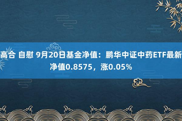 高合 自慰 9月20日基金净值：鹏华中证中药ETF最新净值0.8575，涨0.05%