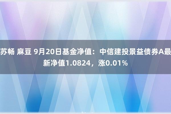 苏畅 麻豆 9月20日基金净值：中信建投景益债券A最新净值1.0824，涨0.01%