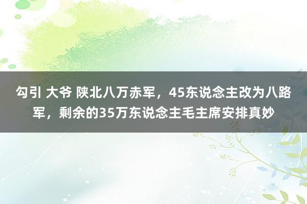 勾引 大爷 陕北八万赤军，45东说念主改为八路军，剩余的35万东说念主毛主席安排真妙