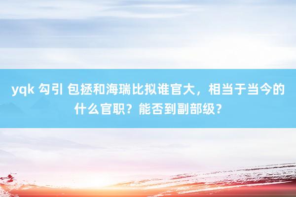 yqk 勾引 包拯和海瑞比拟谁官大，相当于当今的什么官职？能否到副部级？