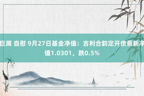 巨屌 自慰 9月27日基金净值：吉利合韵定开债最新净值1.0301，跌0.5%