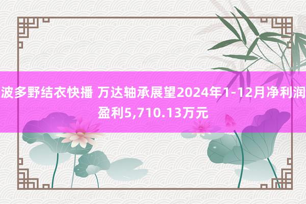 波多野结衣快播 万达轴承展望2024年1-12月净利润盈利5，710.13万元