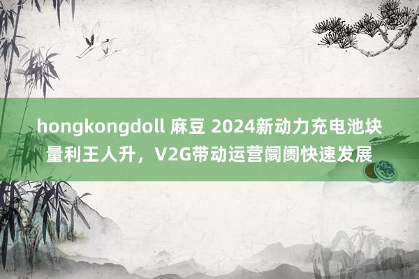 hongkongdoll 麻豆 2024新动力充电池块量利王人升，V2G带动运营阛阓快速发展