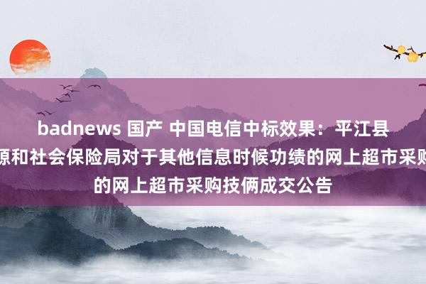 badnews 国产 中国电信中标效果：平江县东说念主力资源和社会保险局对于其他信息时候功绩的网上超市采购技俩成交公告