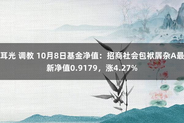 耳光 调教 10月8日基金净值：招商社会包袱羼杂A最新净值0.9179，涨4.27%