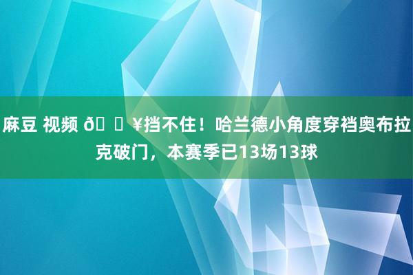 麻豆 视频 🔥挡不住！哈兰德小角度穿裆奥布拉克破门，本赛季已13场13球