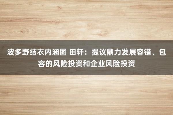 波多野结衣内涵图 田轩：提议鼎力发展容错、包容的风险投资和企业风险投资