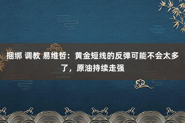 捆绑 调教 易维哲：黄金短线的反弹可能不会太多了，原油持续走强