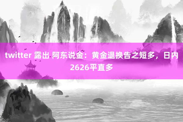 twitter 露出 阿东说金：黄金退换告之短多，日内2626平直多