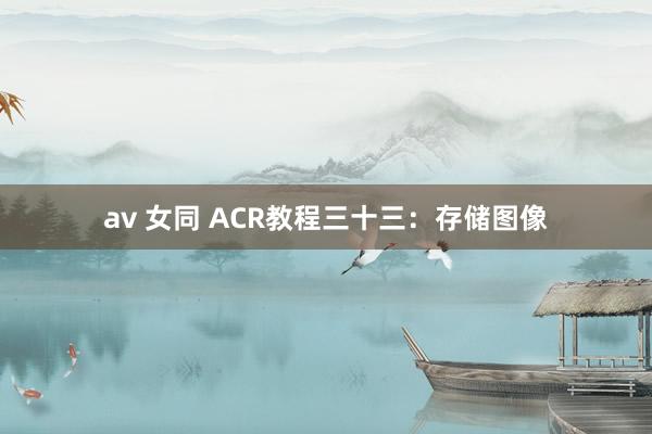 av 女同 ACR教程三十三：存储图像