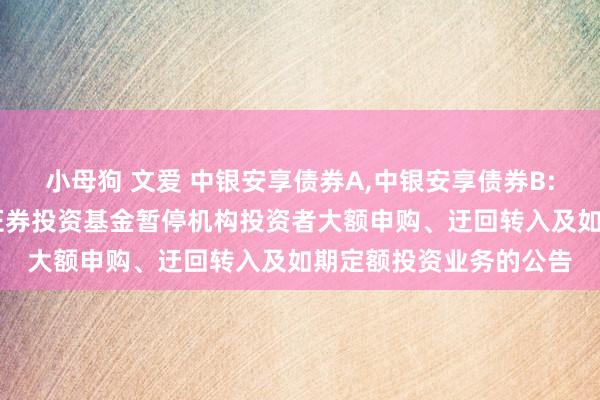 小母狗 文爱 中银安享债券A，中银安享债券B: 对于中银安享债券型证券投资基金暂停机构投资者大额申购、迂回转入及如期定额投资业务的公告