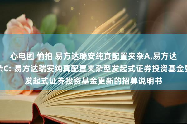 心电图 偷拍 易方达瑞安纯真配置夹杂A，易方达瑞安纯真配置夹杂C: 易方达瑞安纯真配置夹杂型发起式证券投资基金更新的招募说明书