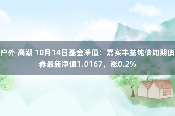 户外 高潮 10月14日基金净值：嘉实丰益纯债如期债券最新净值1.0167，涨0.2%