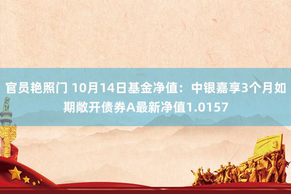 官员艳照门 10月14日基金净值：中银嘉享3个月如期敞开债券A最新净值1.0157