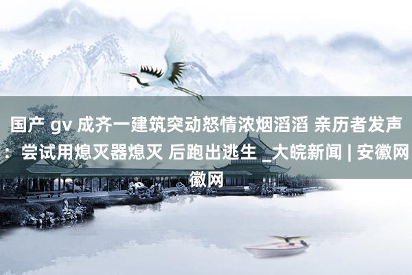 国产 gv 成齐一建筑突动怒情浓烟滔滔 亲历者发声：尝试用熄灭器熄灭 后跑出逃生 _大皖新闻 | 安徽网