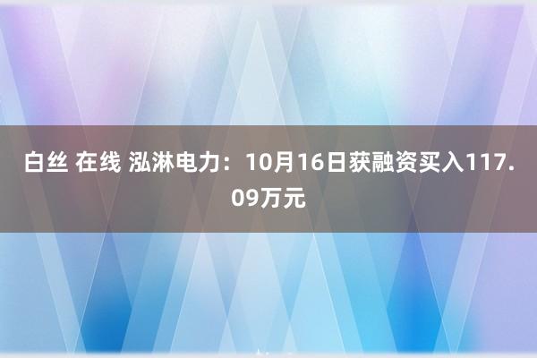 白丝 在线 泓淋电力：10月16日获融资买入117.09万元