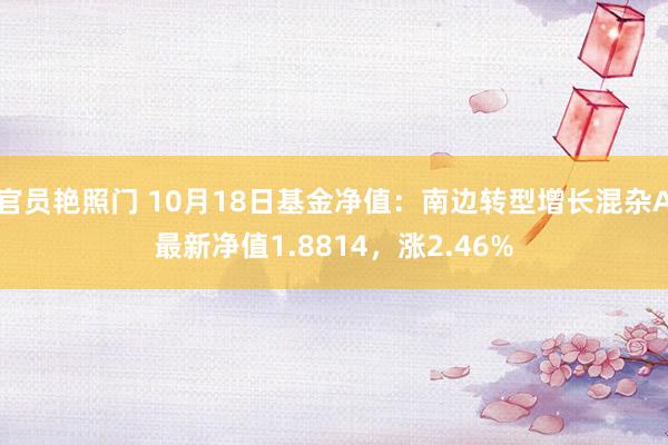 官员艳照门 10月18日基金净值：南边转型增长混杂A最新净值1.8814，涨2.46%