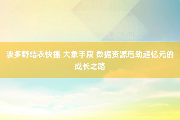 波多野结衣快播 大象手段 数据资源后劲超亿元的成长之路