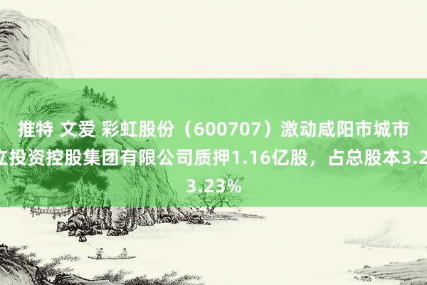 推特 文爱 彩虹股份（600707）激动咸阳市城市树立投资控股集团有限公司质押1.16亿股，占总股本3.23%