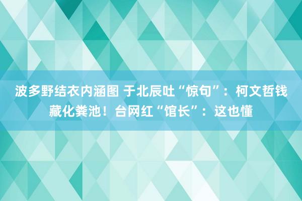 波多野结衣内涵图 于北辰吐“惊句”：柯文哲钱藏化粪池！台网红“馆长”：这也懂