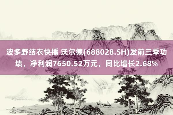 波多野结衣快播 沃尔德(688028.SH)发前三季功绩，净利润7650.52万元，同比增长2.68%