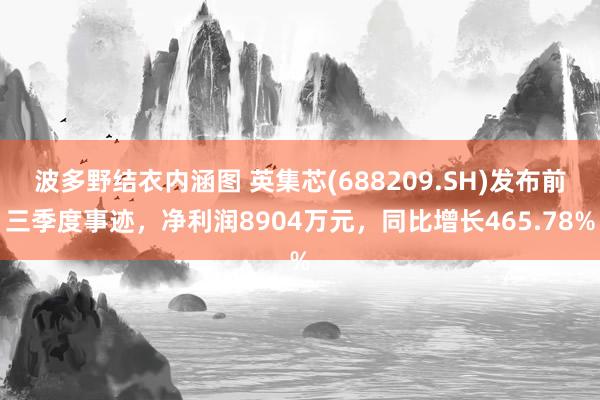 波多野结衣内涵图 英集芯(688209.SH)发布前三季度事迹，净利润8904万元，同比增长465.78%