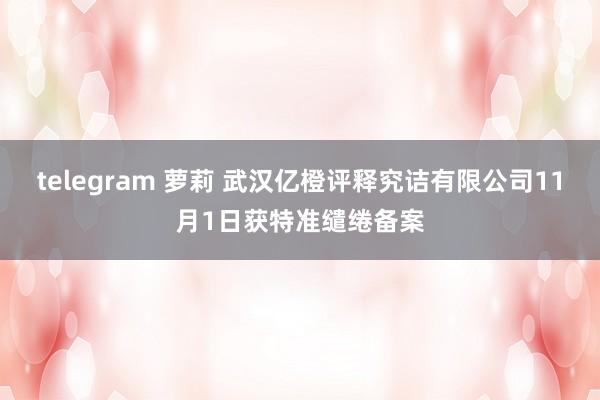 telegram 萝莉 武汉亿橙评释究诘有限公司11月1日获特准缱绻备案