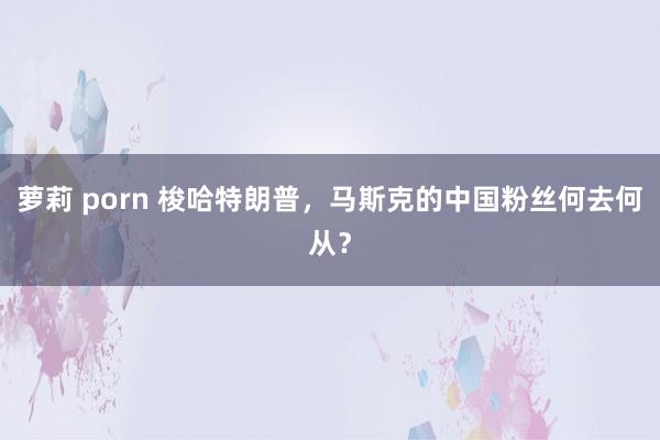 萝莉 porn 梭哈特朗普，马斯克的中国粉丝何去何从？