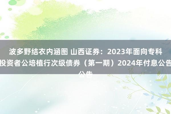 波多野结衣内涵图 山西证券：2023年面向专科投资者公培植行次级债券（第一期）2024年付息公告