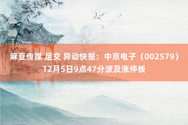 麻豆传媒 足交 异动快报：中京电子（002579）12月5日9点47分波及涨停板