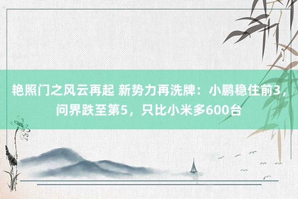 艳照门之风云再起 新势力再洗牌：小鹏稳住前3，问界跌至第5，只比小米多600台