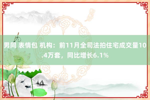 男同 表情包 机构：前11月全司法拍住宅成交量10.4万套，同比增长6.1%