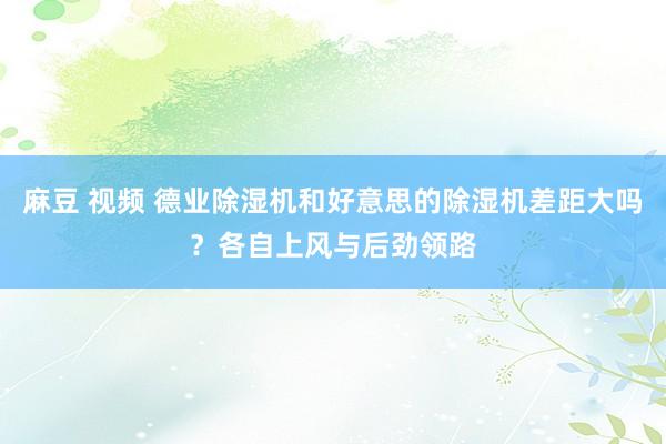 麻豆 视频 德业除湿机和好意思的除湿机差距大吗？各自上风与后劲领路