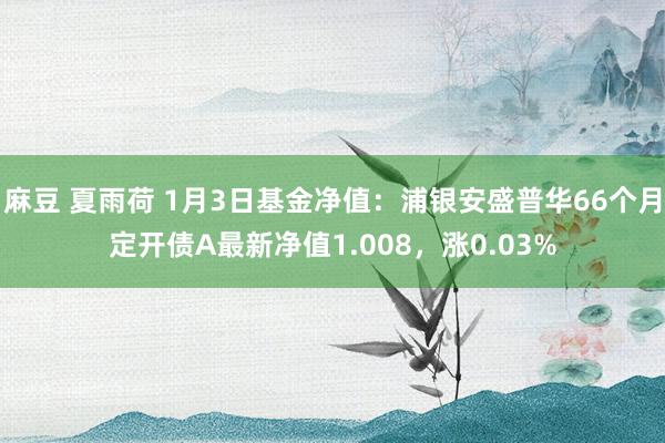 麻豆 夏雨荷 1月3日基金净值：浦银安盛普华66个月定开债A最新净值1.008，涨0.03%