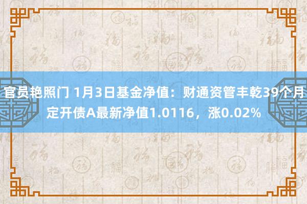 官员艳照门 1月3日基金净值：财通资管丰乾39个月定开债A最新净值1.0116，涨0.02%