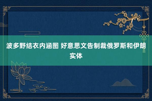 波多野结衣内涵图 好意思文告制裁俄罗斯和伊朗实体