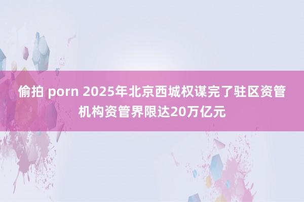 偷拍 porn 2025年北京西城权谋完了驻区资管机构资管界限达20万亿元