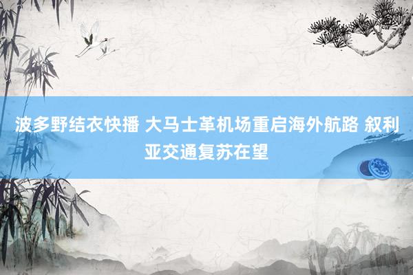 波多野结衣快播 大马士革机场重启海外航路 叙利亚交通复苏在望