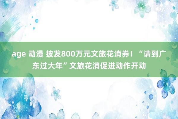 age 动漫 披发800万元文旅花消券！“请到广东过大年”文旅花消促进动作开动