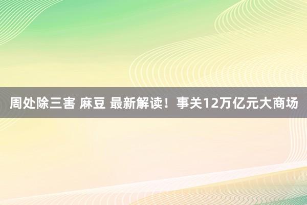 周处除三害 麻豆 最新解读！事关12万亿元大商场