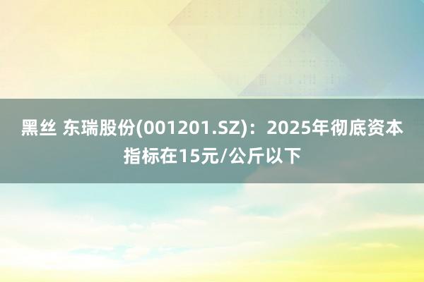 黑丝 东瑞股份(001201.SZ)：2025年彻底资本指标在15元/公斤以下