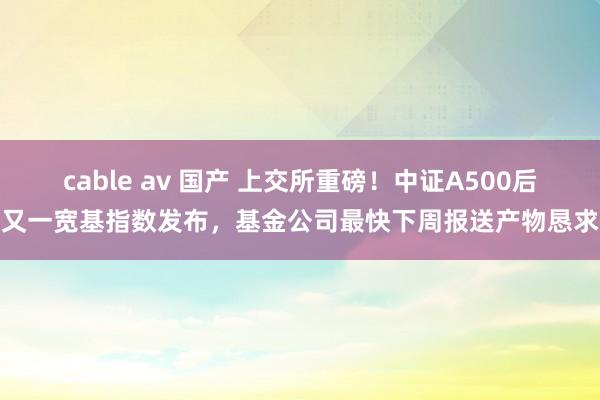 cable av 国产 上交所重磅！中证A500后又一宽基指数发布，基金公司最快下周报送产物恳求