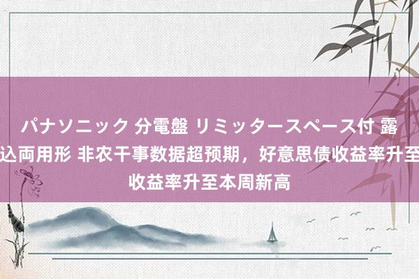 パナソニック 分電盤 リミッタースペース付 露出・半埋込両用形 非农干事数据超预期，好意思债收益率升至本周新高