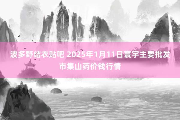 波多野结衣贴吧 2025年1月11日寰宇主要批发市集山药价钱行情